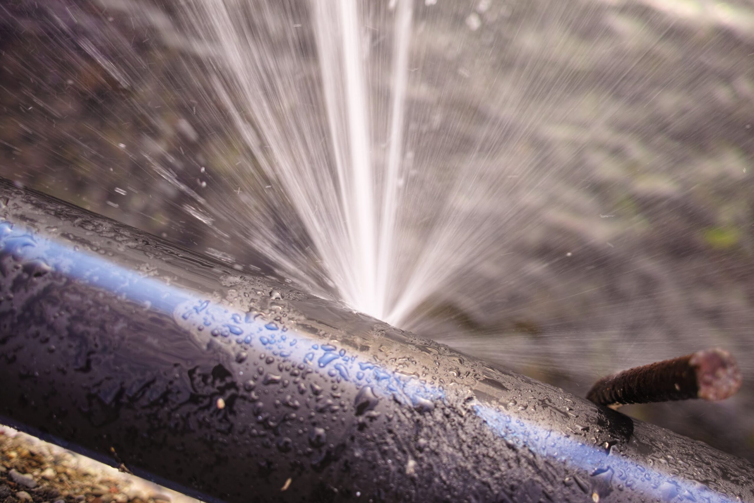 Sewer Line Leak in need of Plumbing Repair in Wausau, WI