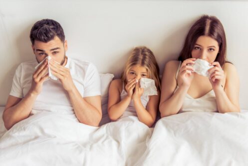 Indoor air quality services in Madison, WI