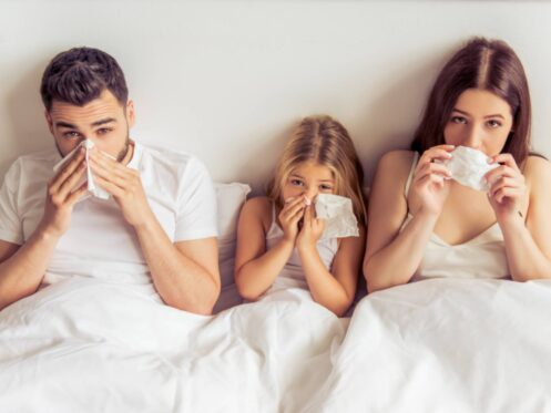 Indoor air quality services in Madison, WI
